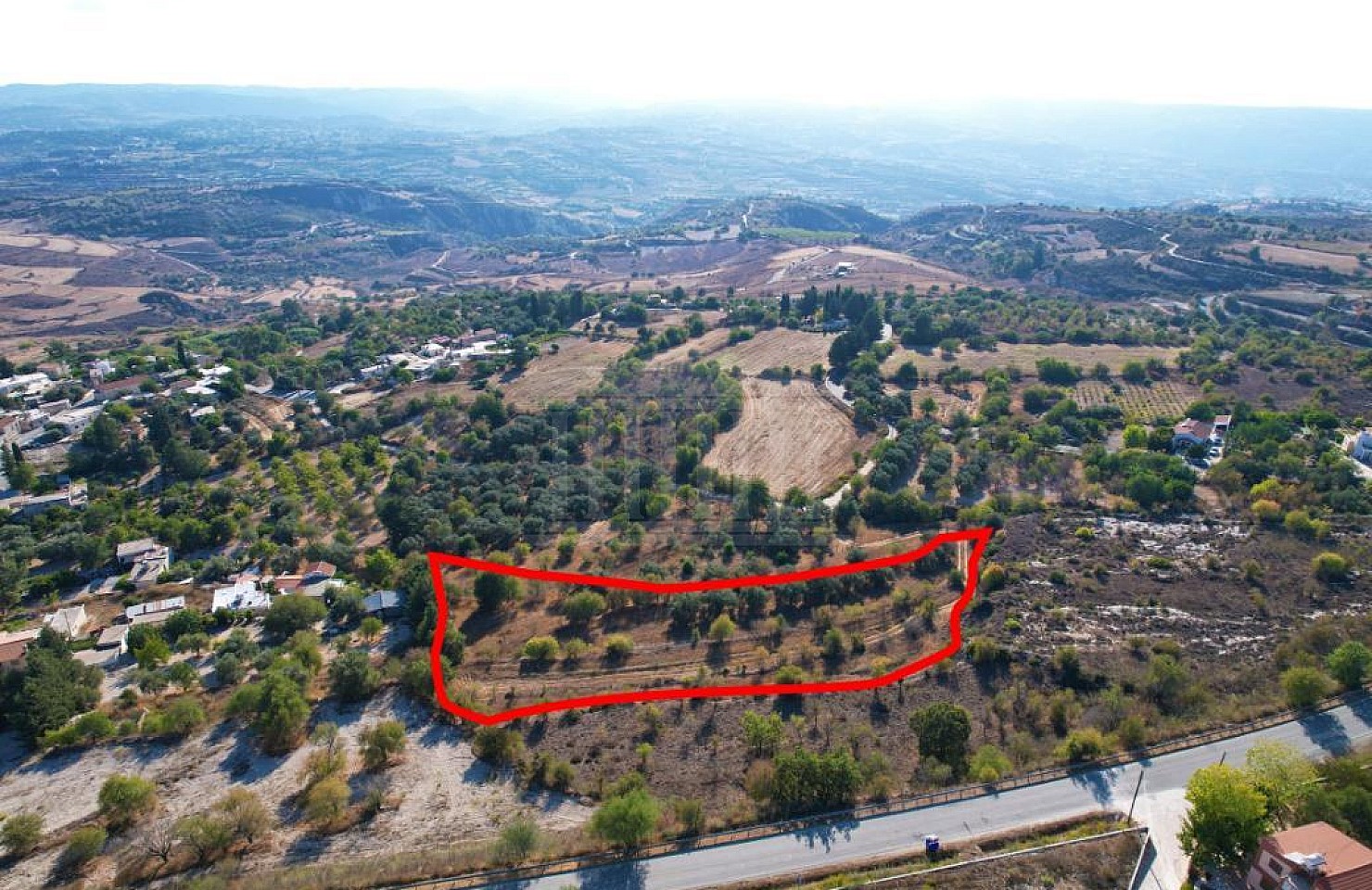 Field in Drynia, Paphos