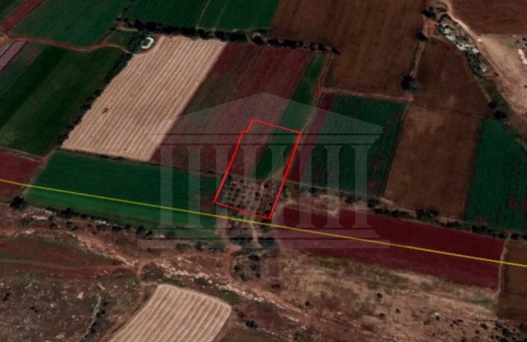 Touristic Field, Liopetri, Famagusta