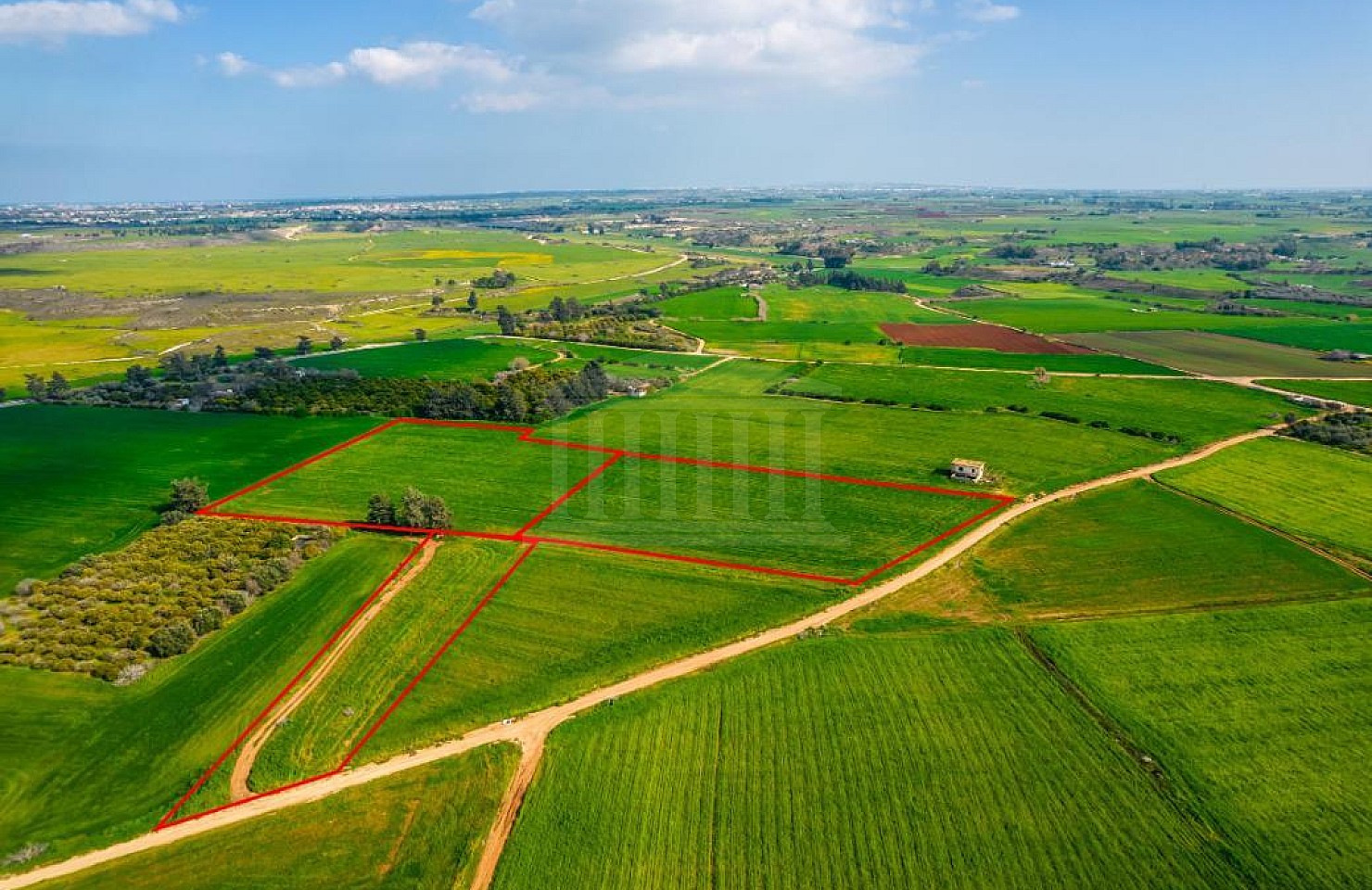 Fields in Avgorou, Famagusta