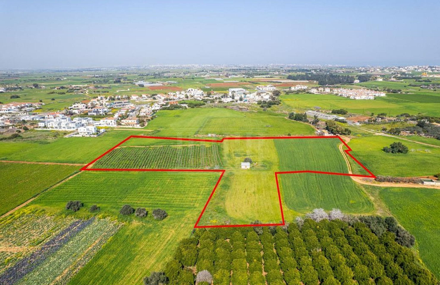 Shared Field in Frenaros, Famagusta