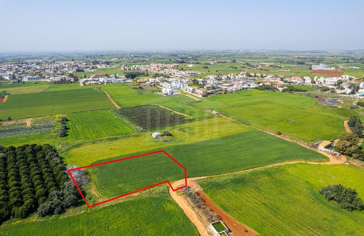 Field in Frenaros, Famagusta