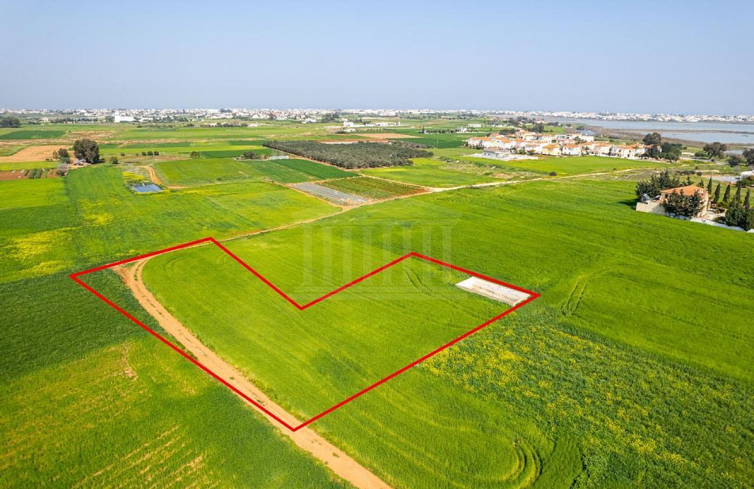 Field in Sotira, Famagusta