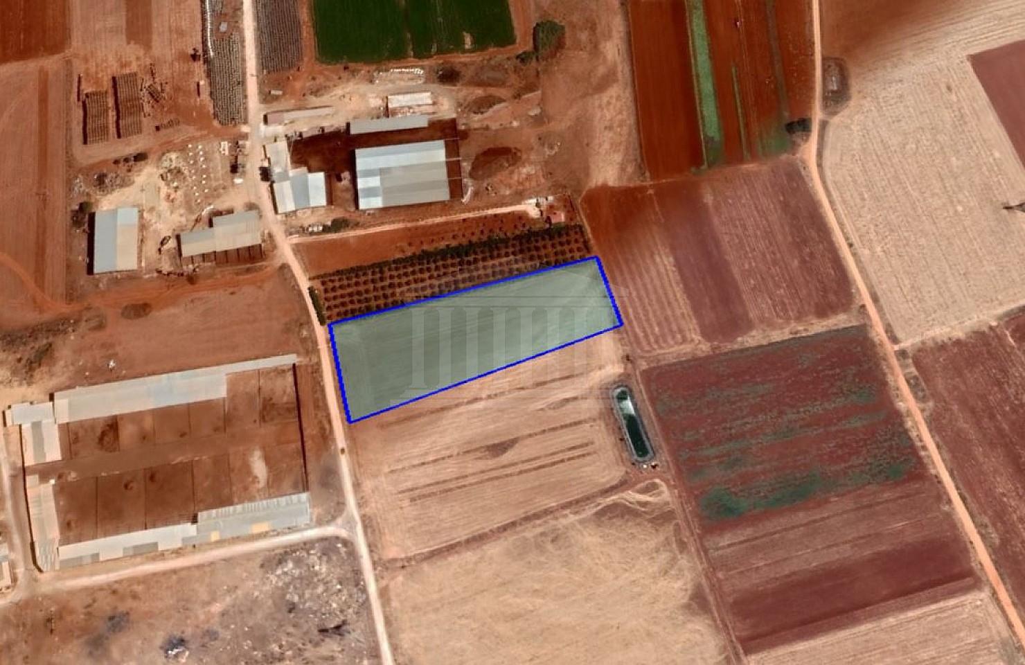 Agricultural Field in Ormideia, Larnaca