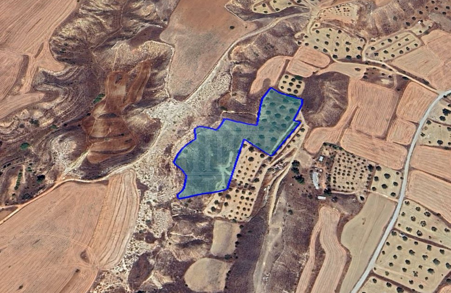Agricultural Field in Tseri, Nicosia