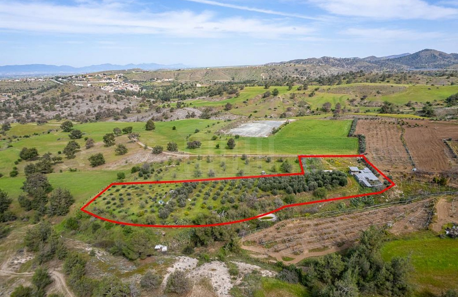 Field in Nikitari, Nicosia