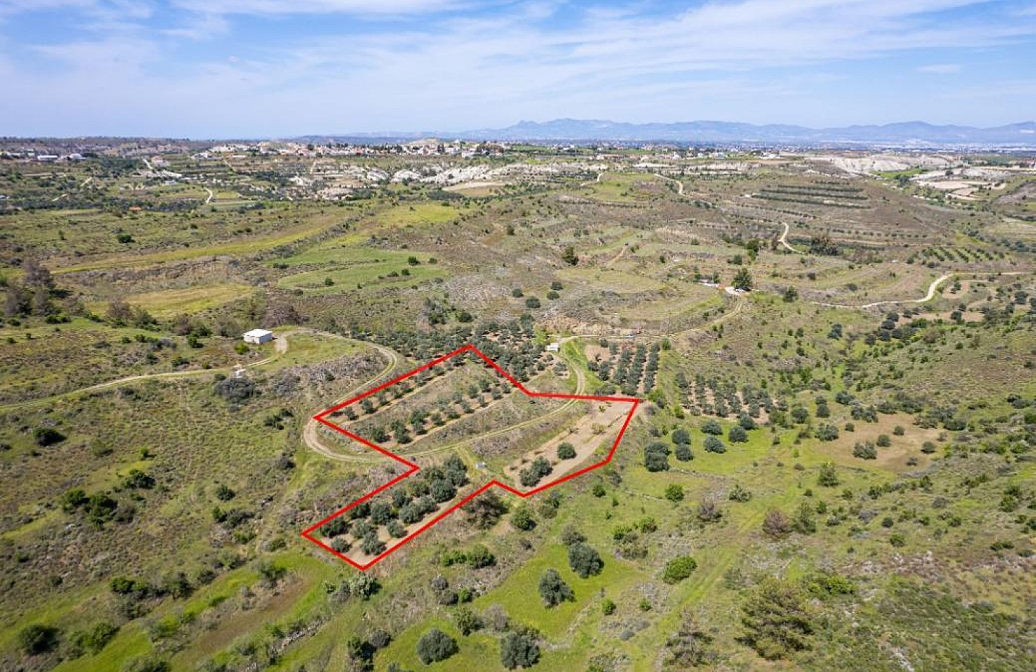 Field in Kampia, Nicosia