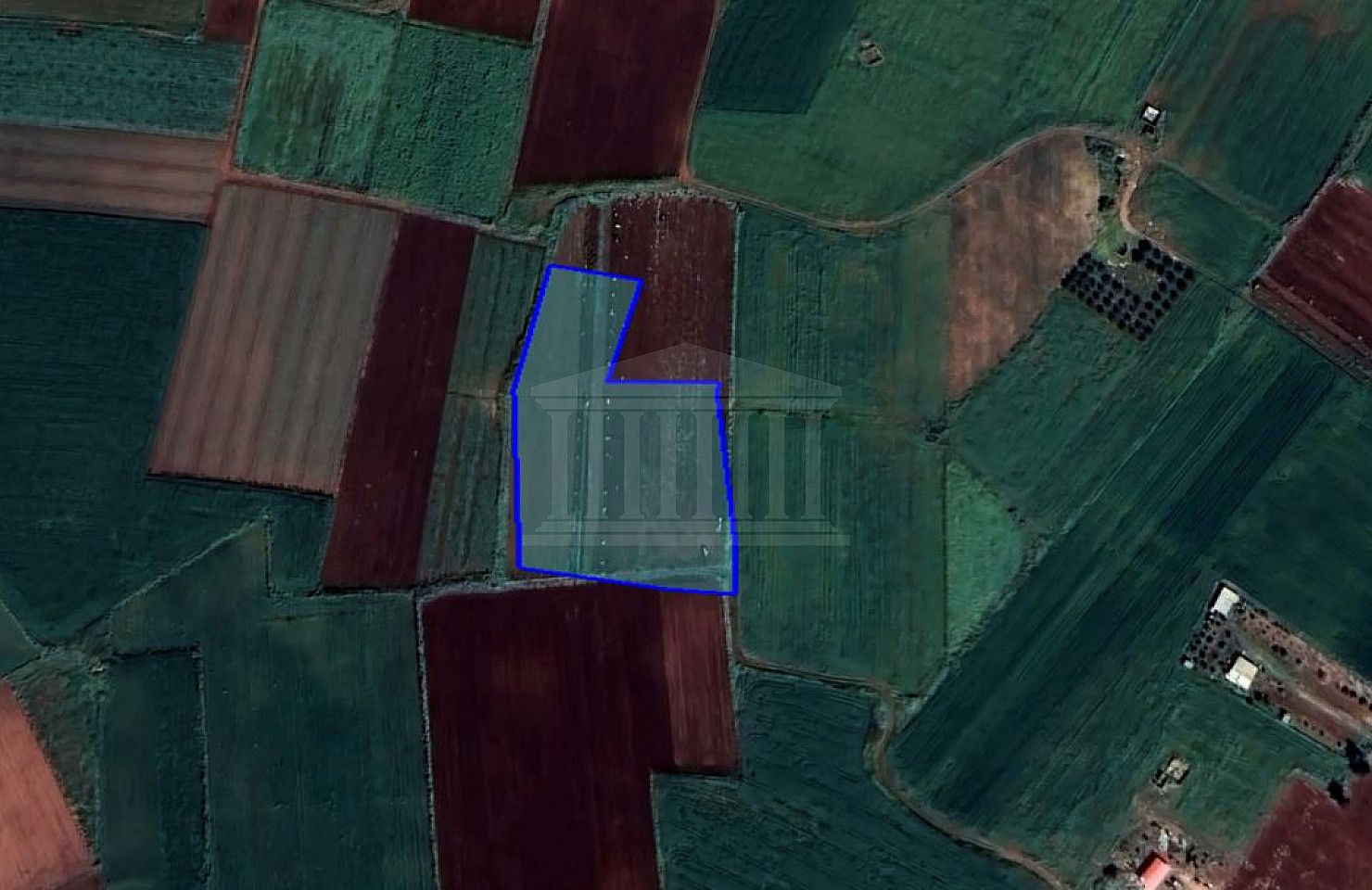 Field in Achna, Ammochostos