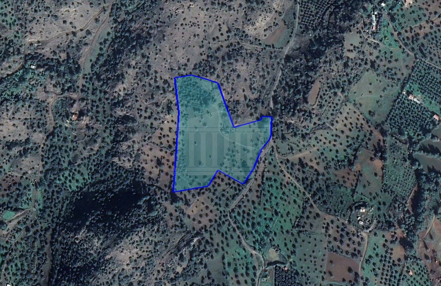 Agricultural Field in Lythrodontas, Nicosia