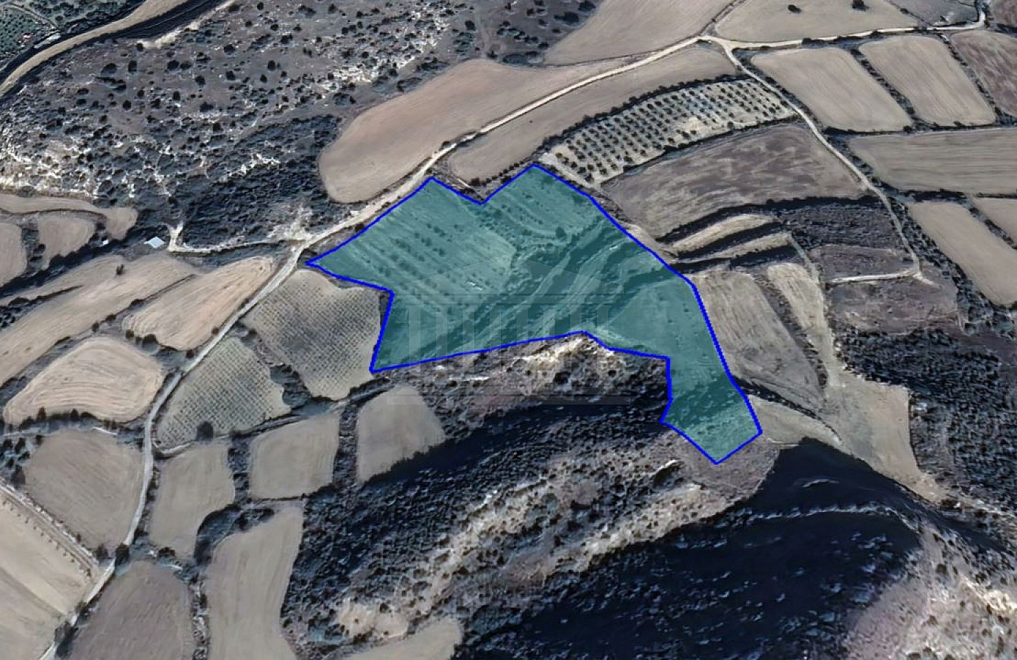 Field in Pissouri, Limassol
