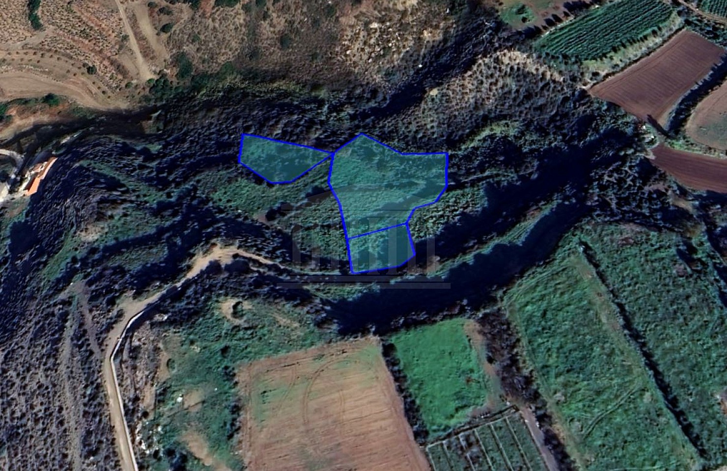 Fields in Kissonerga, Paphos