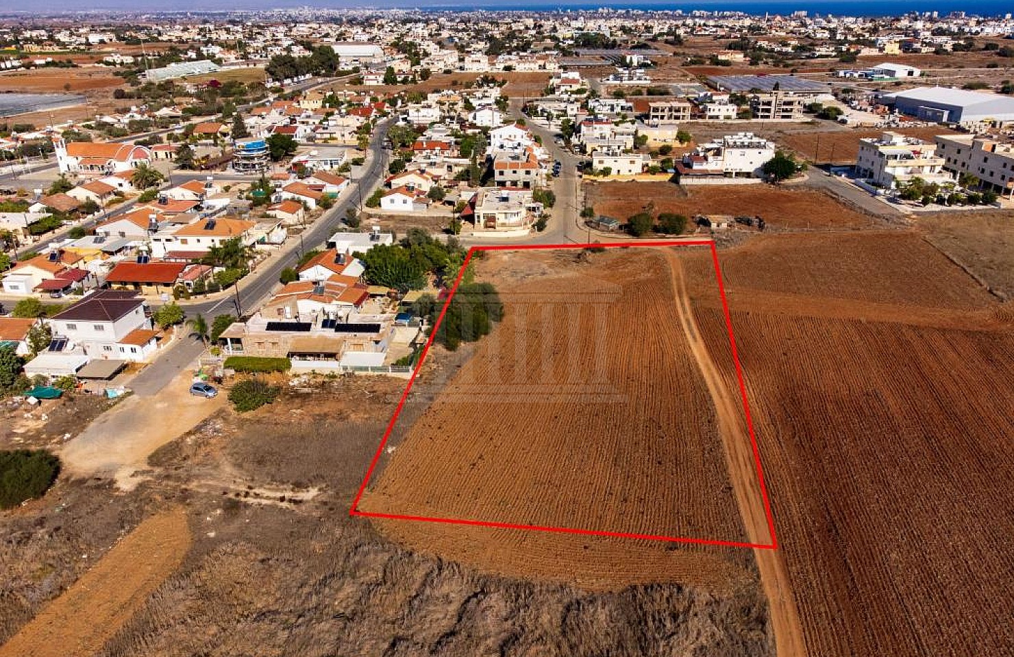 Field in Deryneia, Famagusta