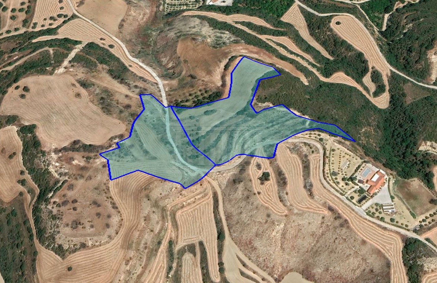 Fields in Skoulli, Paphos