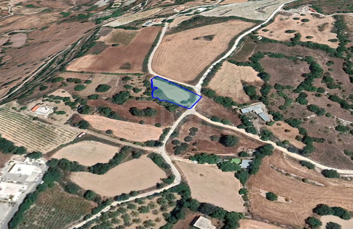 Field in Fyti, Paphos