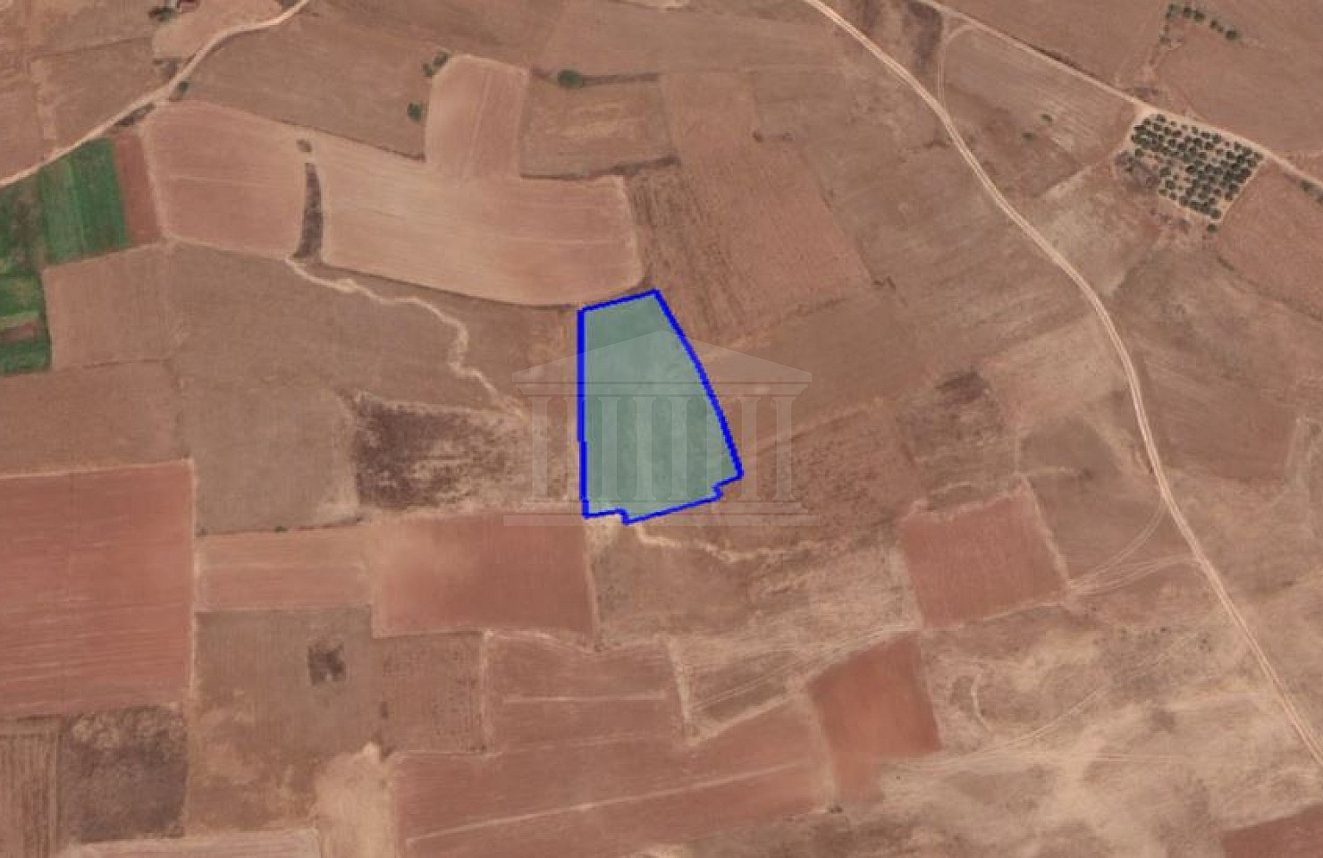 Agricultural Field in Palaiometocho, Nicosia