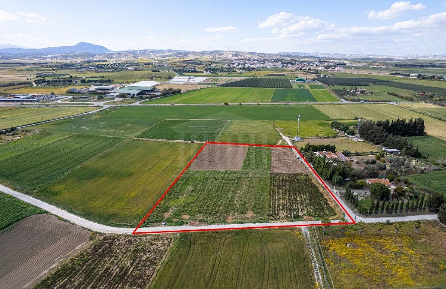 Field in Softades, Larnaca