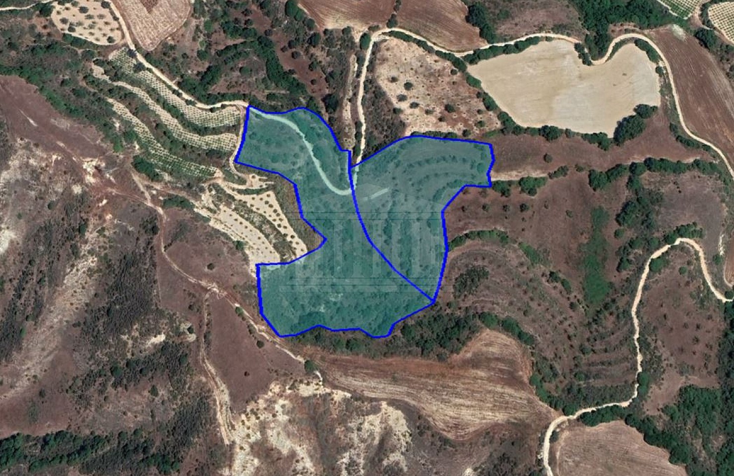 Agricultural Fields in Giolou, Paphos