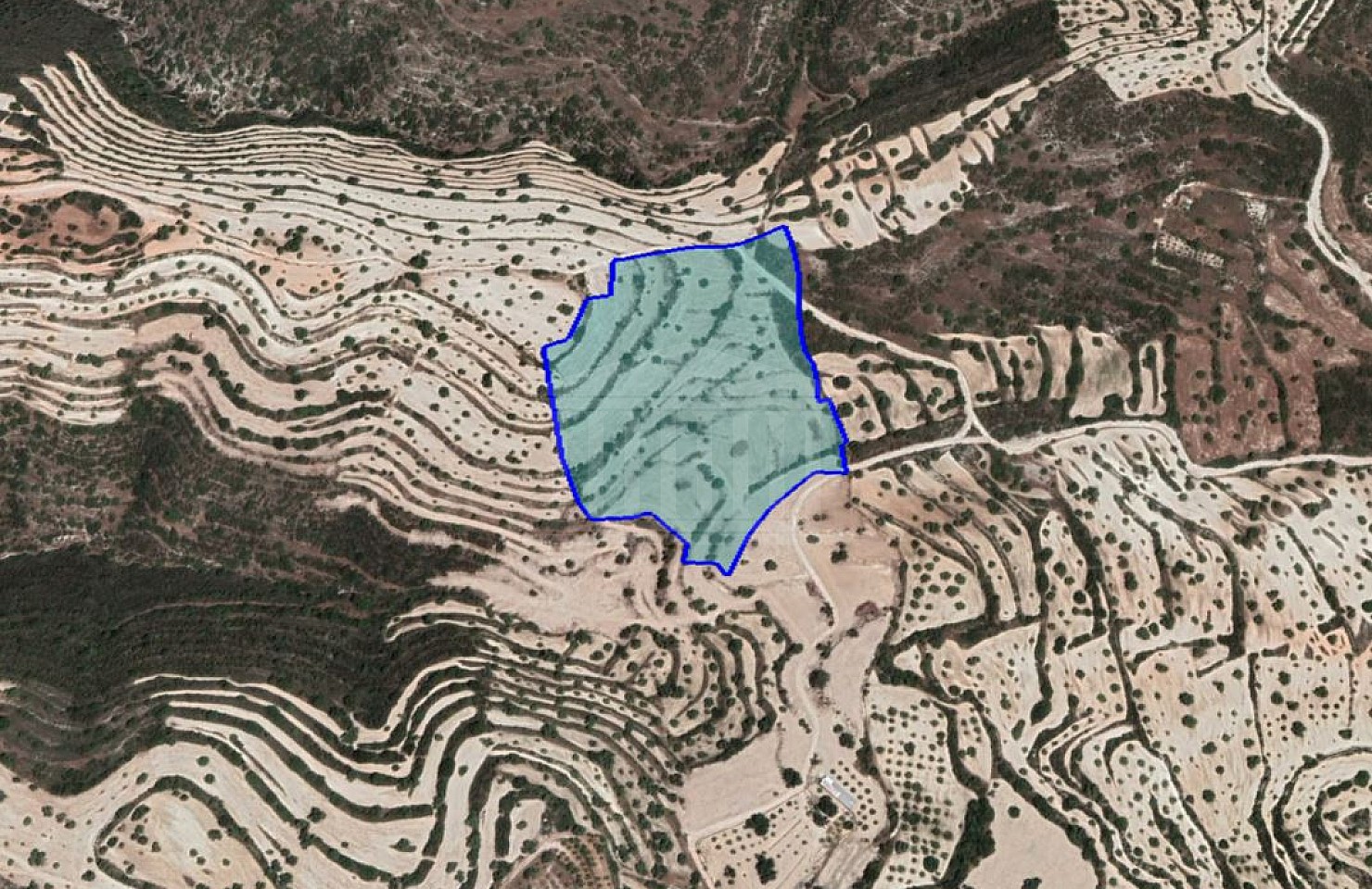 Field in Fasoula Limassol