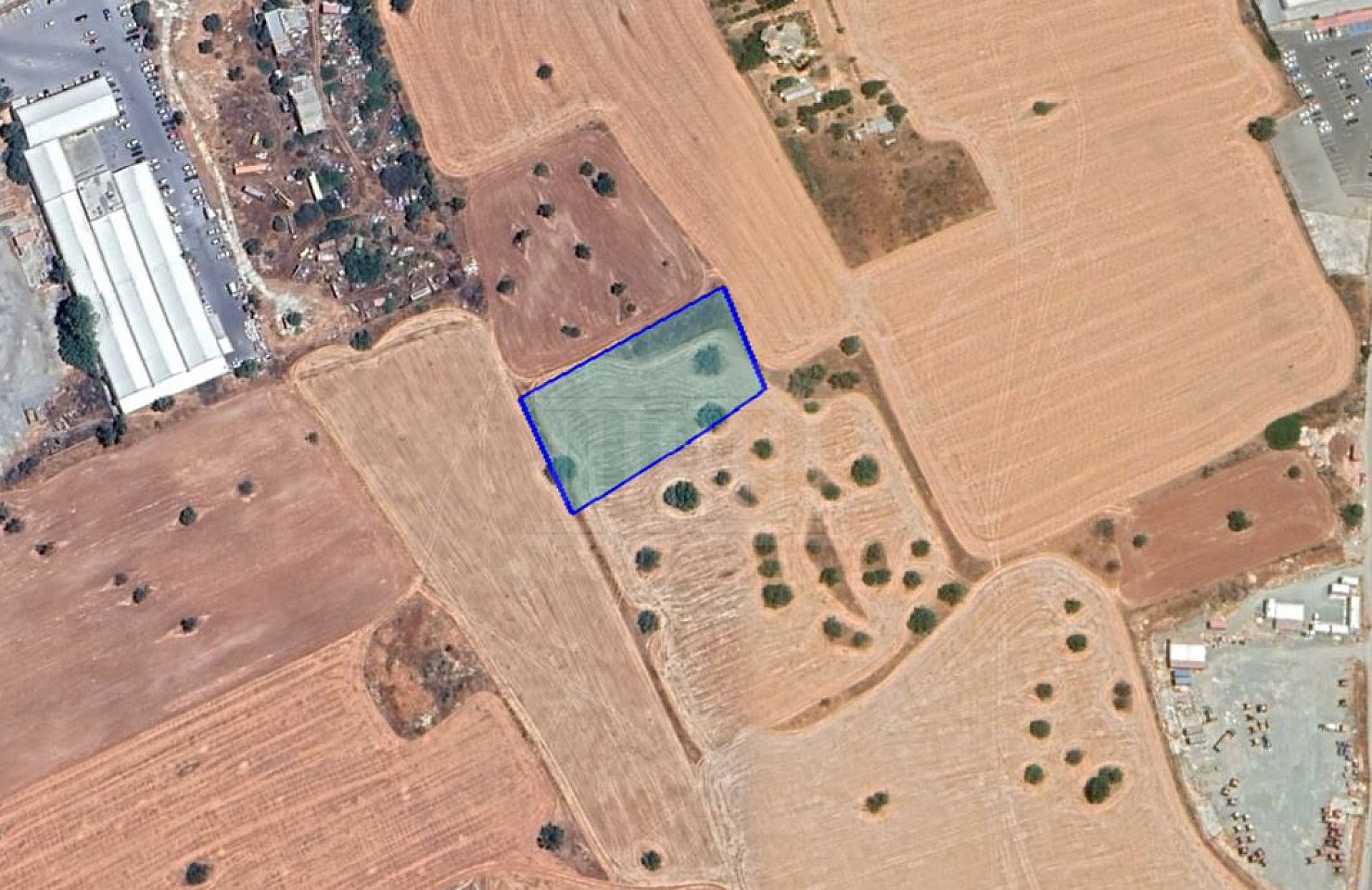 Field in Ypsonas, Limassol