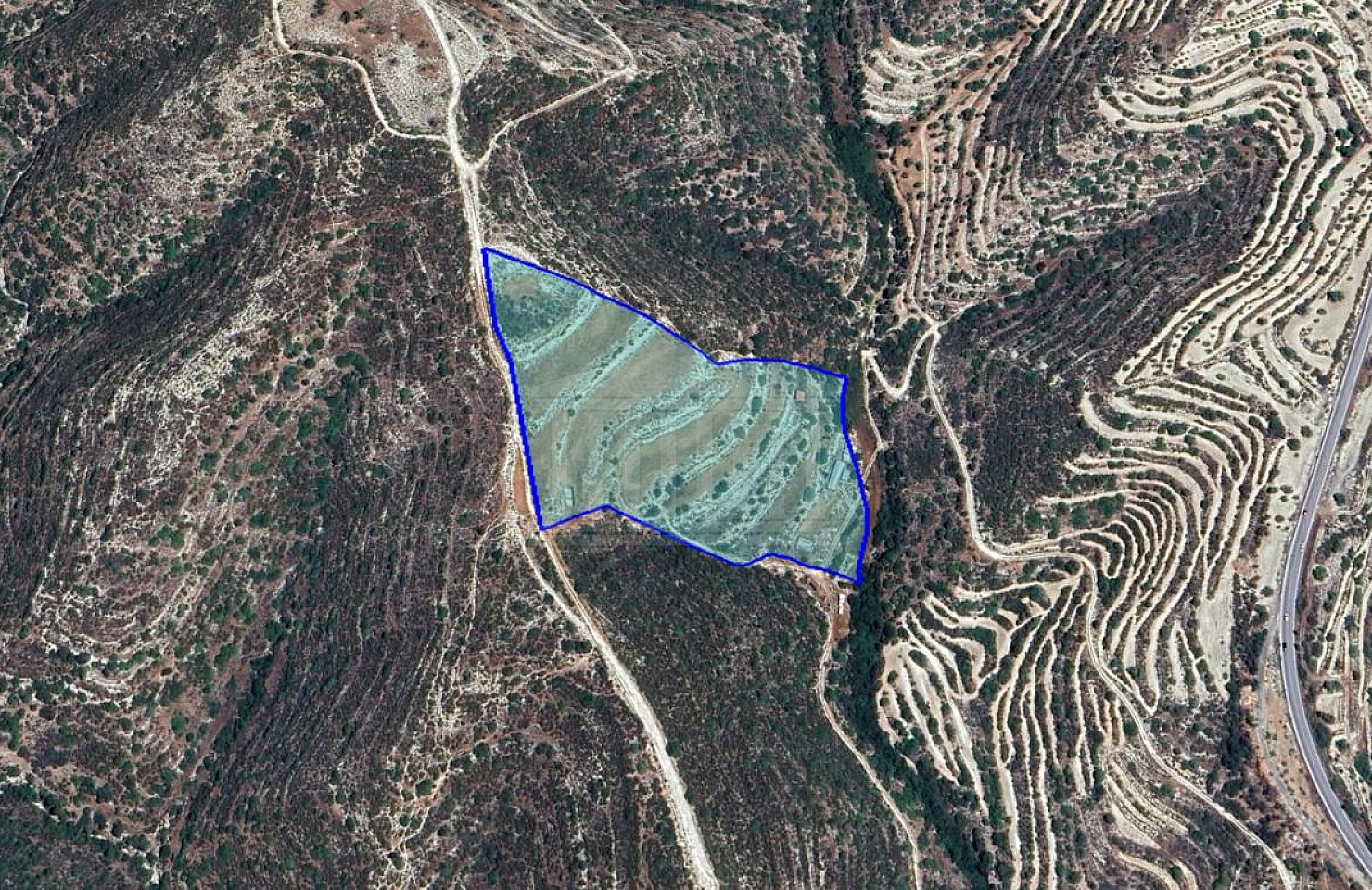 Field in Korfi, Limassol