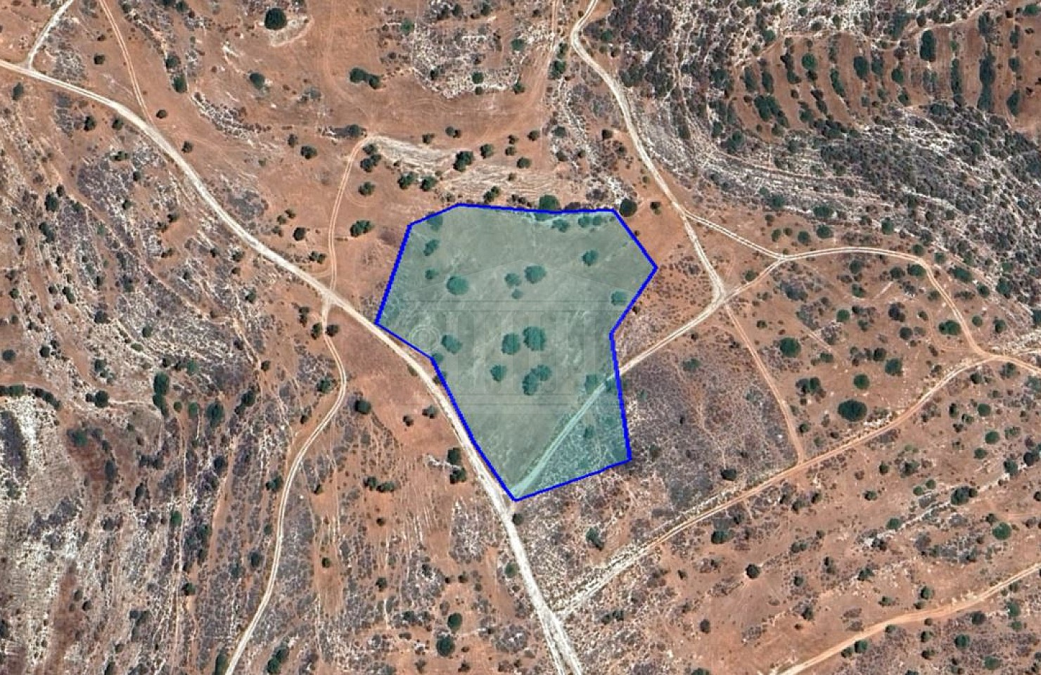 Field in Ypsonas, Limassol