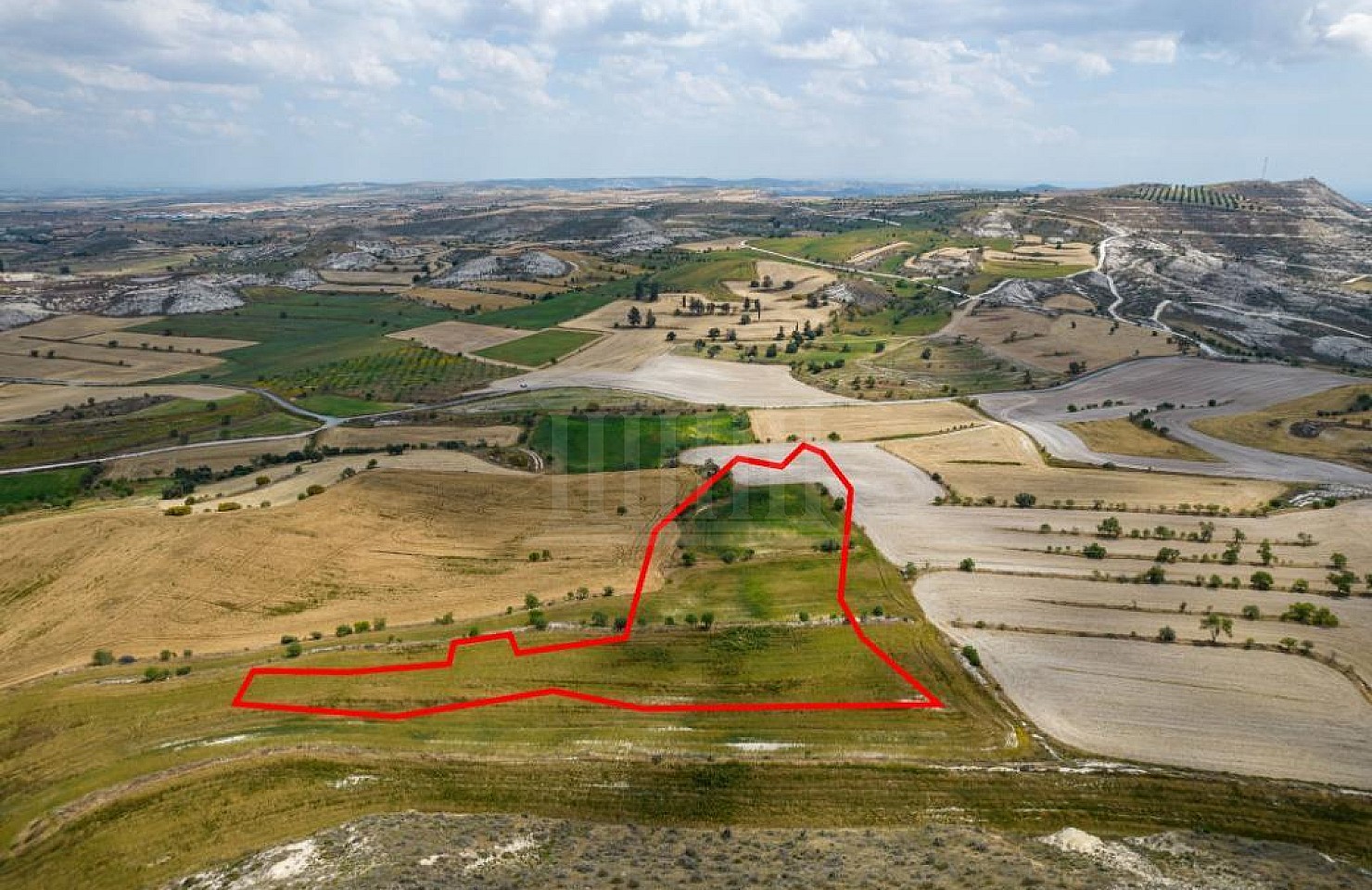 Field in Athienou, Larnaca