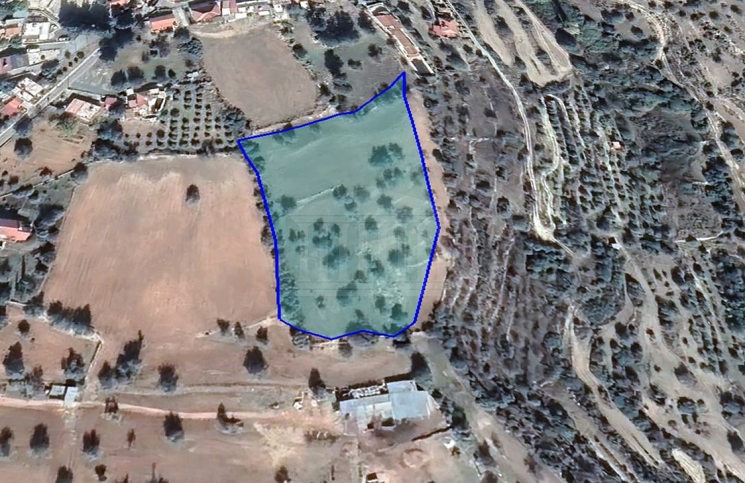 Residential Field in Prastio Avdimou, Limassol