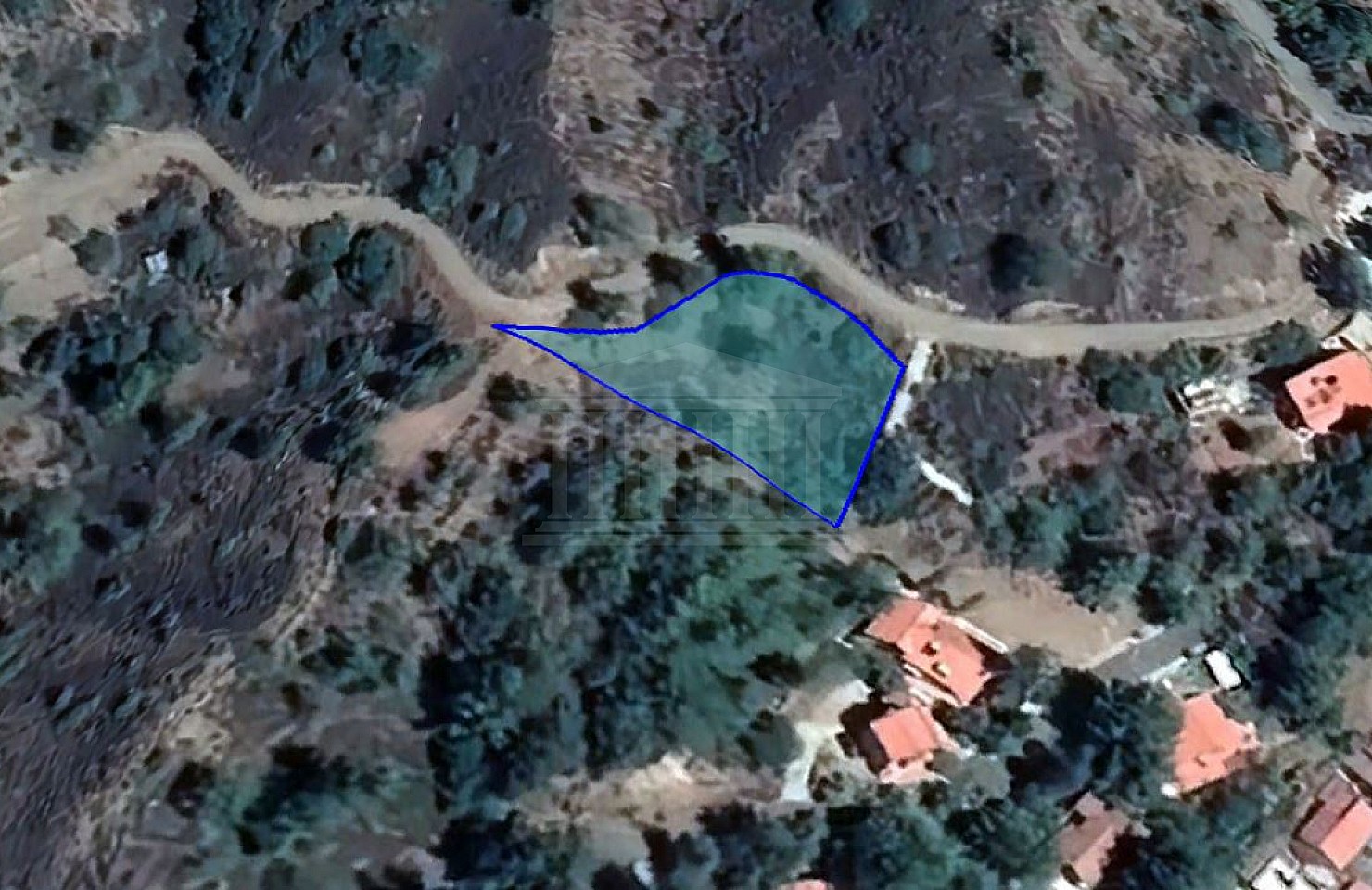 Field in Kato Platres, Limassol