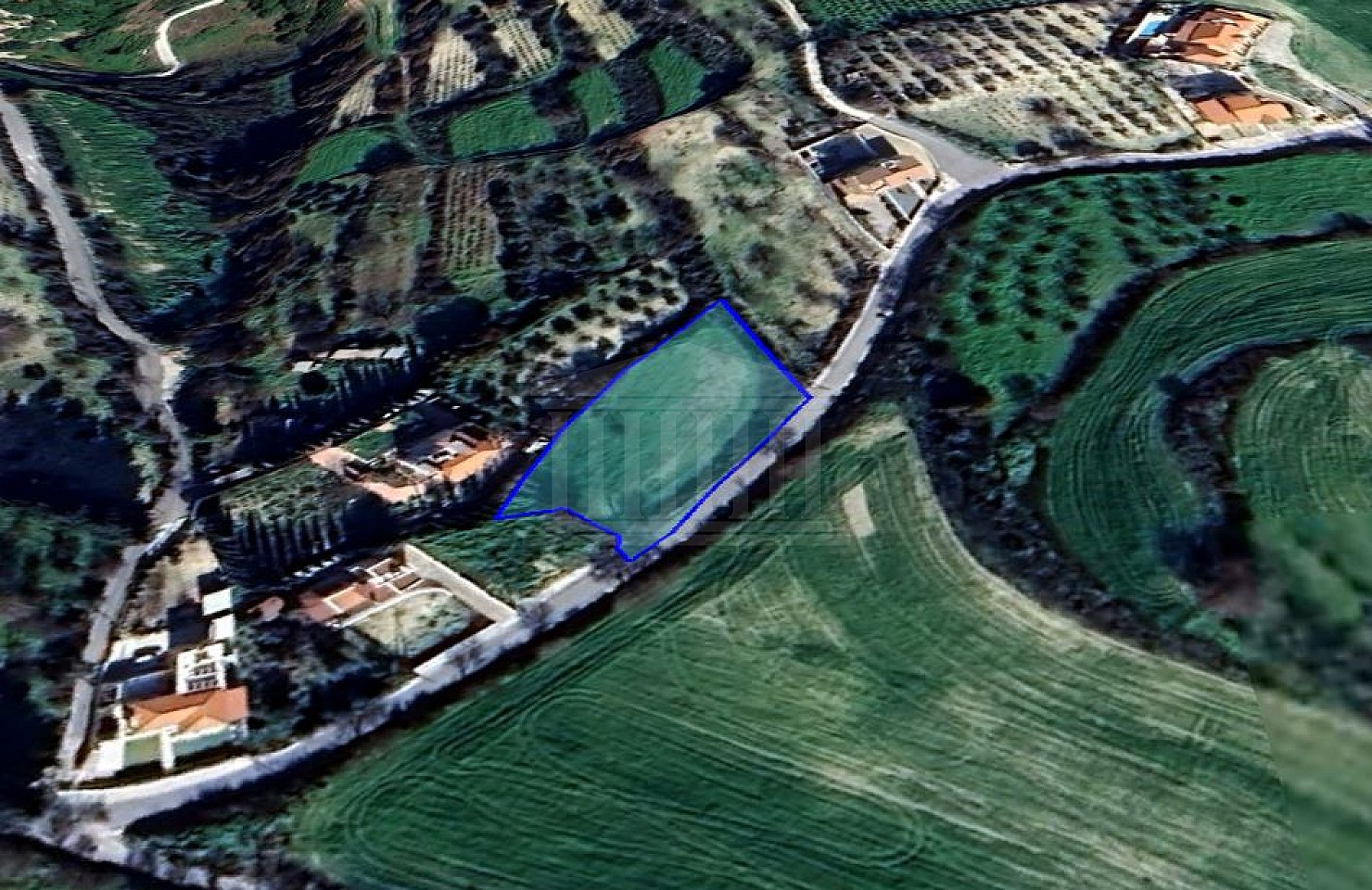 Field in Tsada, Paphos