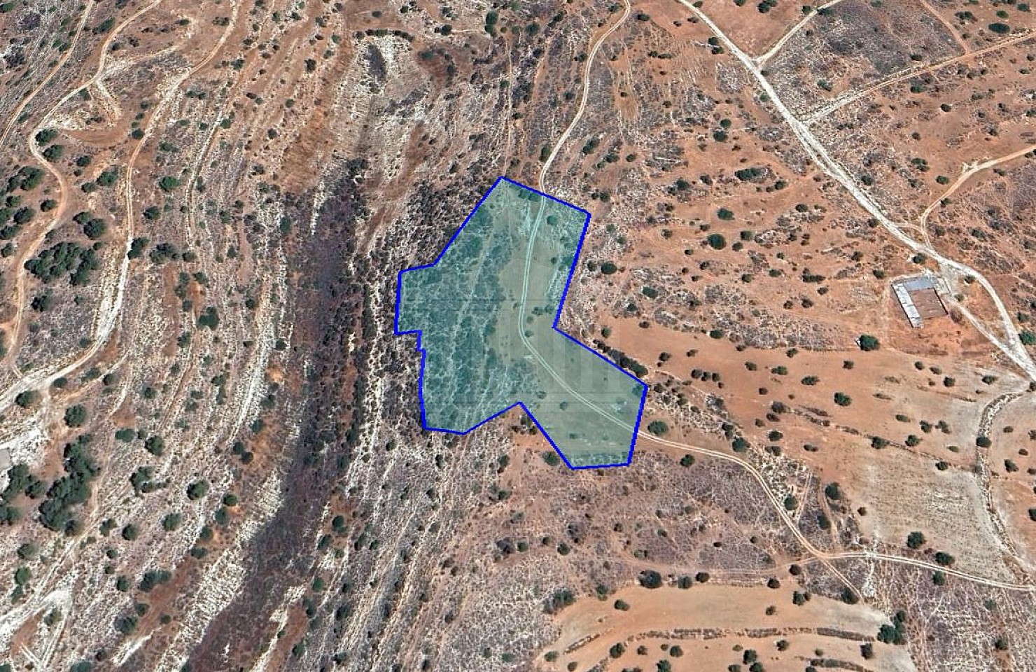 Field in Ypsonas, Limassol