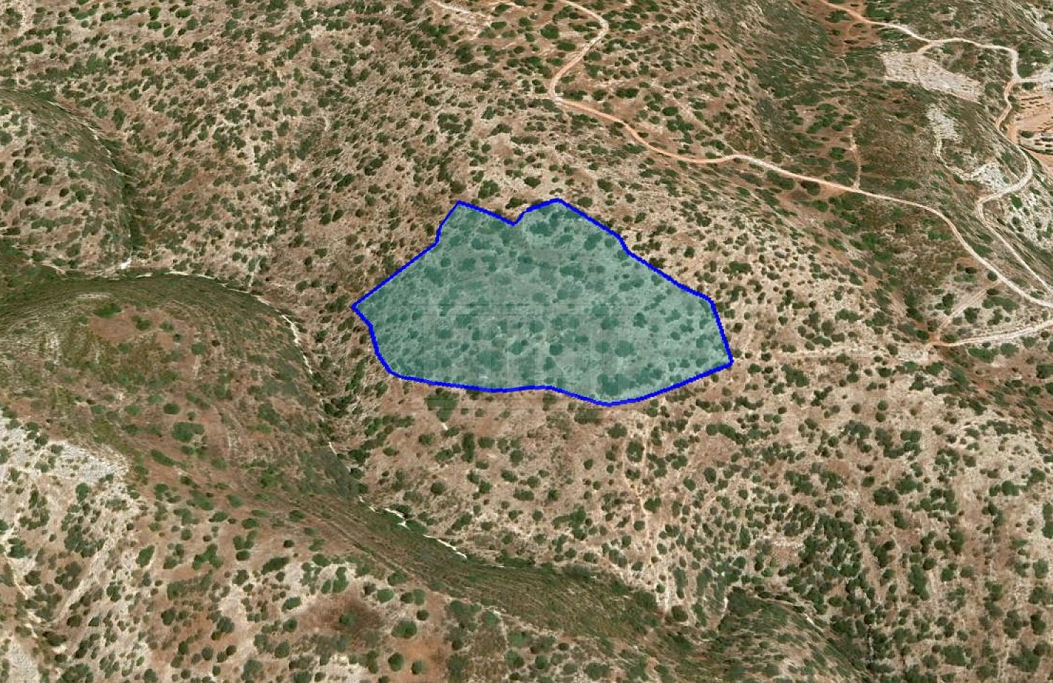Agricultural Field in Akrounta, Limassol