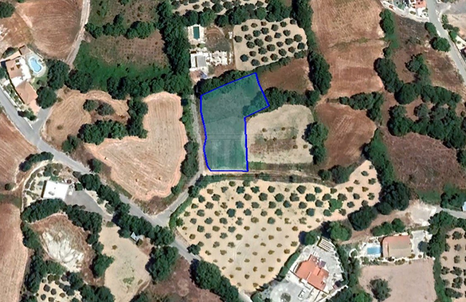 Field in Stroumpi, Paphos