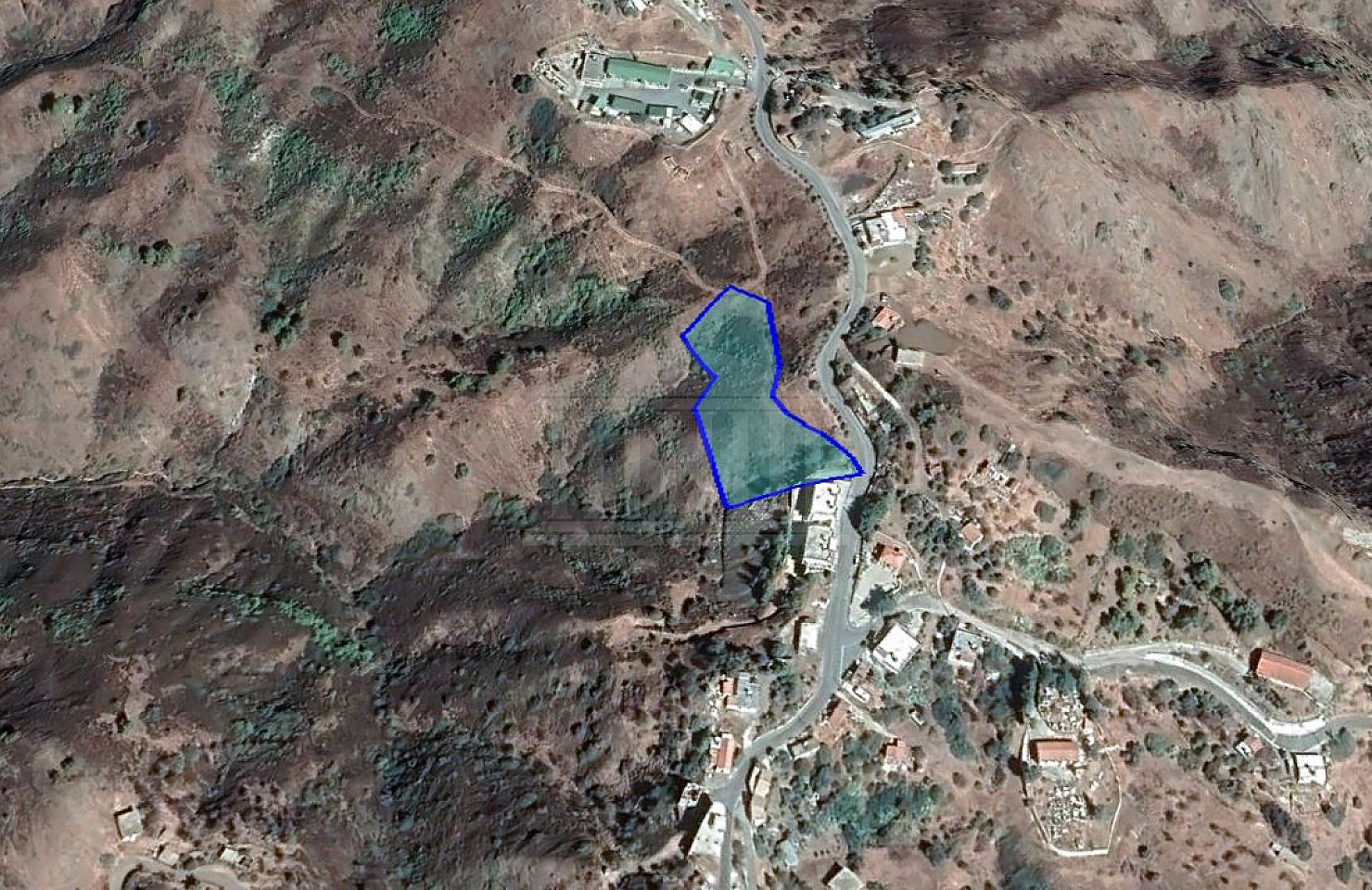 Field in Pigenia, Nicosia