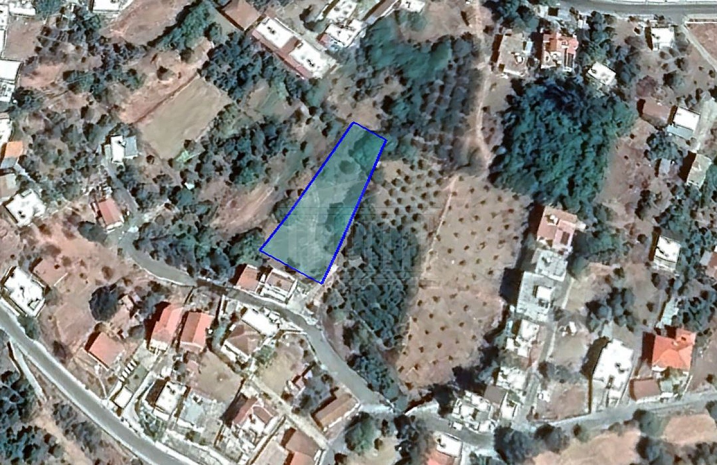 Field in Kato Pyrgos, Nicosia