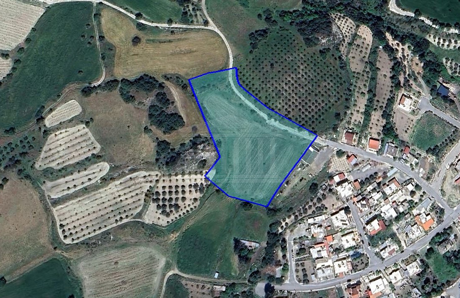 Filed in Kannaviou- Melamiou, Paphos