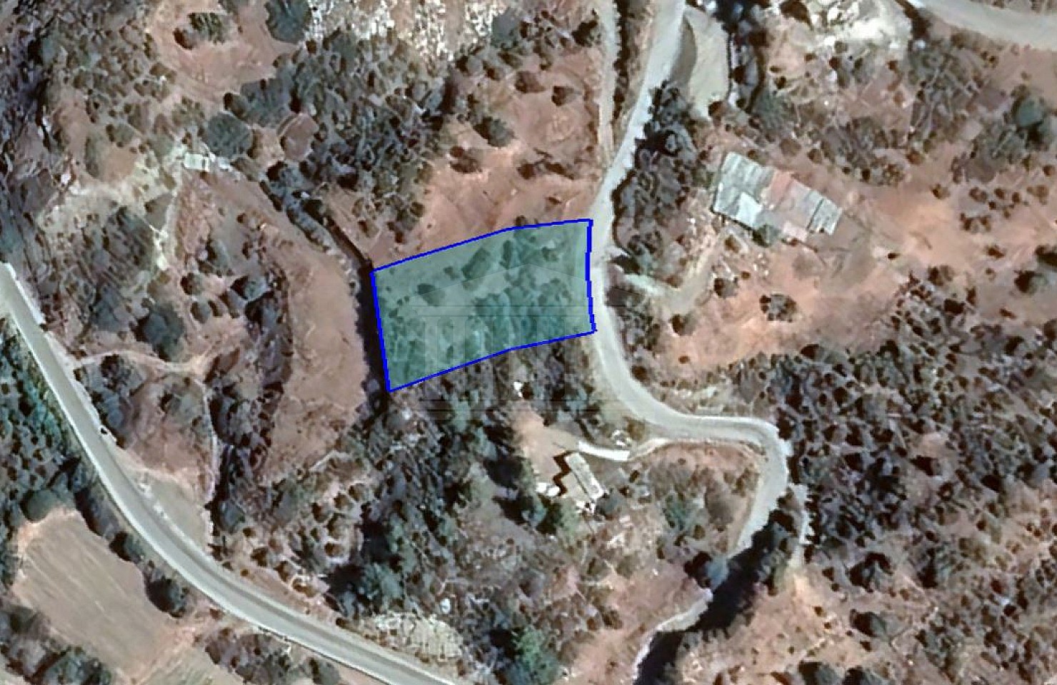 Field in Kato Pyrgos, Nicosia