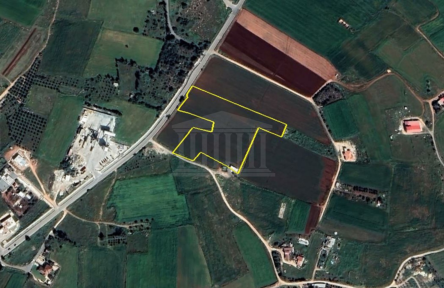 Field in Xylofagou, Larnaca