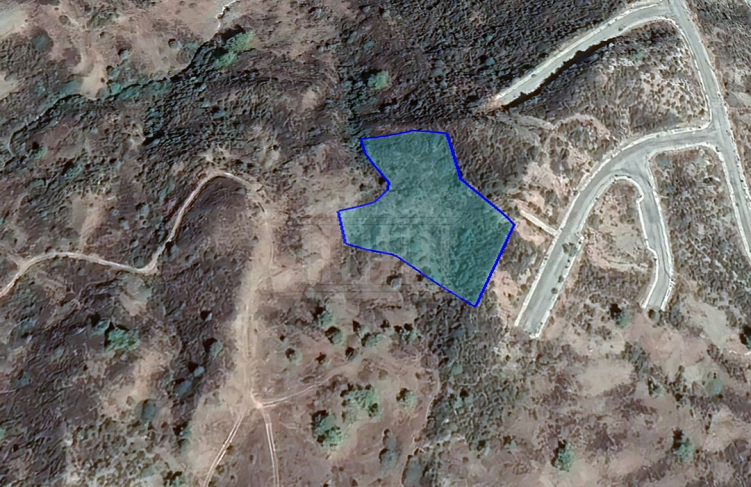 Field in Pigenia, Nicosia