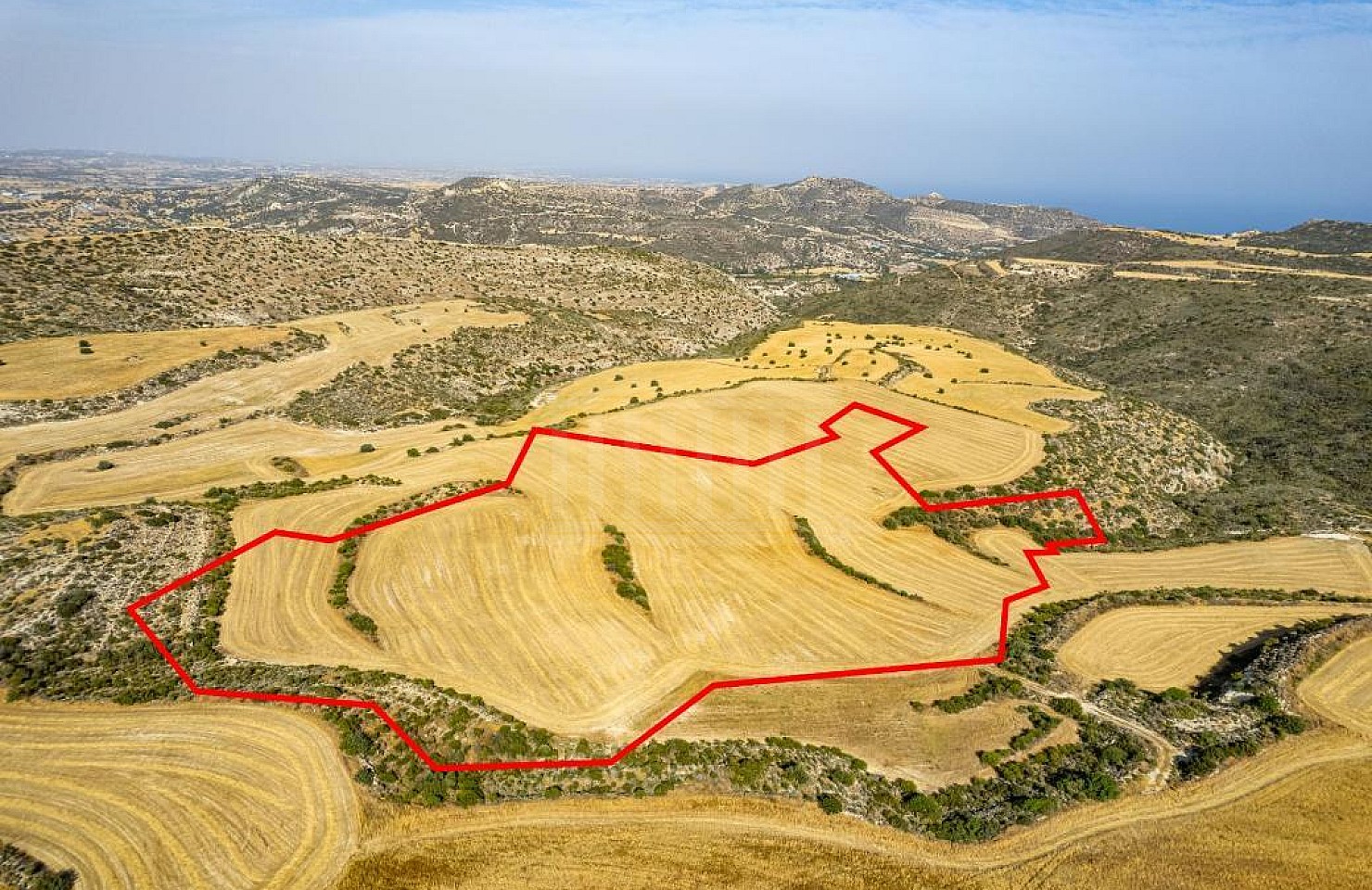 Shared Field in Choirokoitia, Larnaca