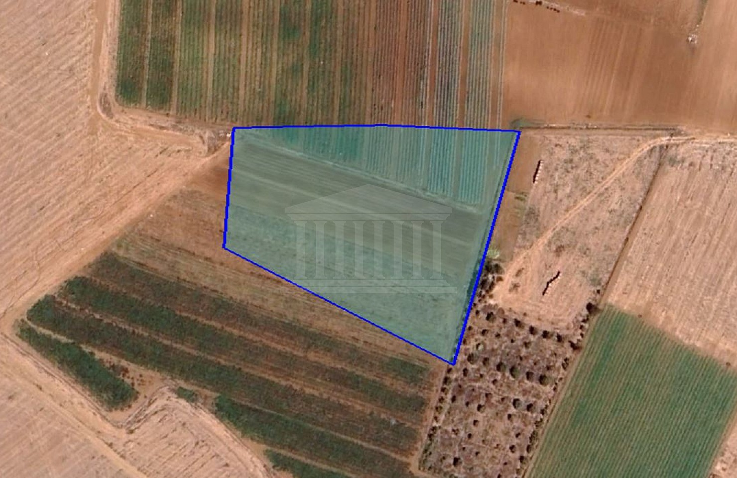 Field in Tersefanou, Larnaca