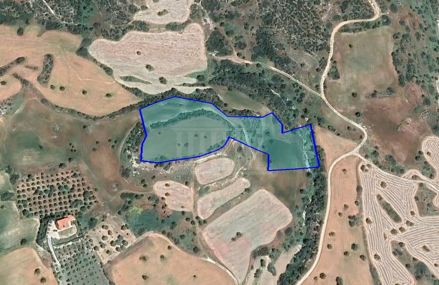 Field in Agios Theodoros, Larnaca