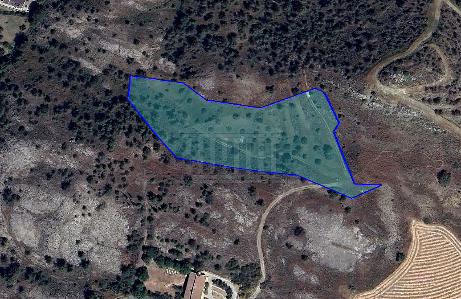 Field in Sia, Nicosia