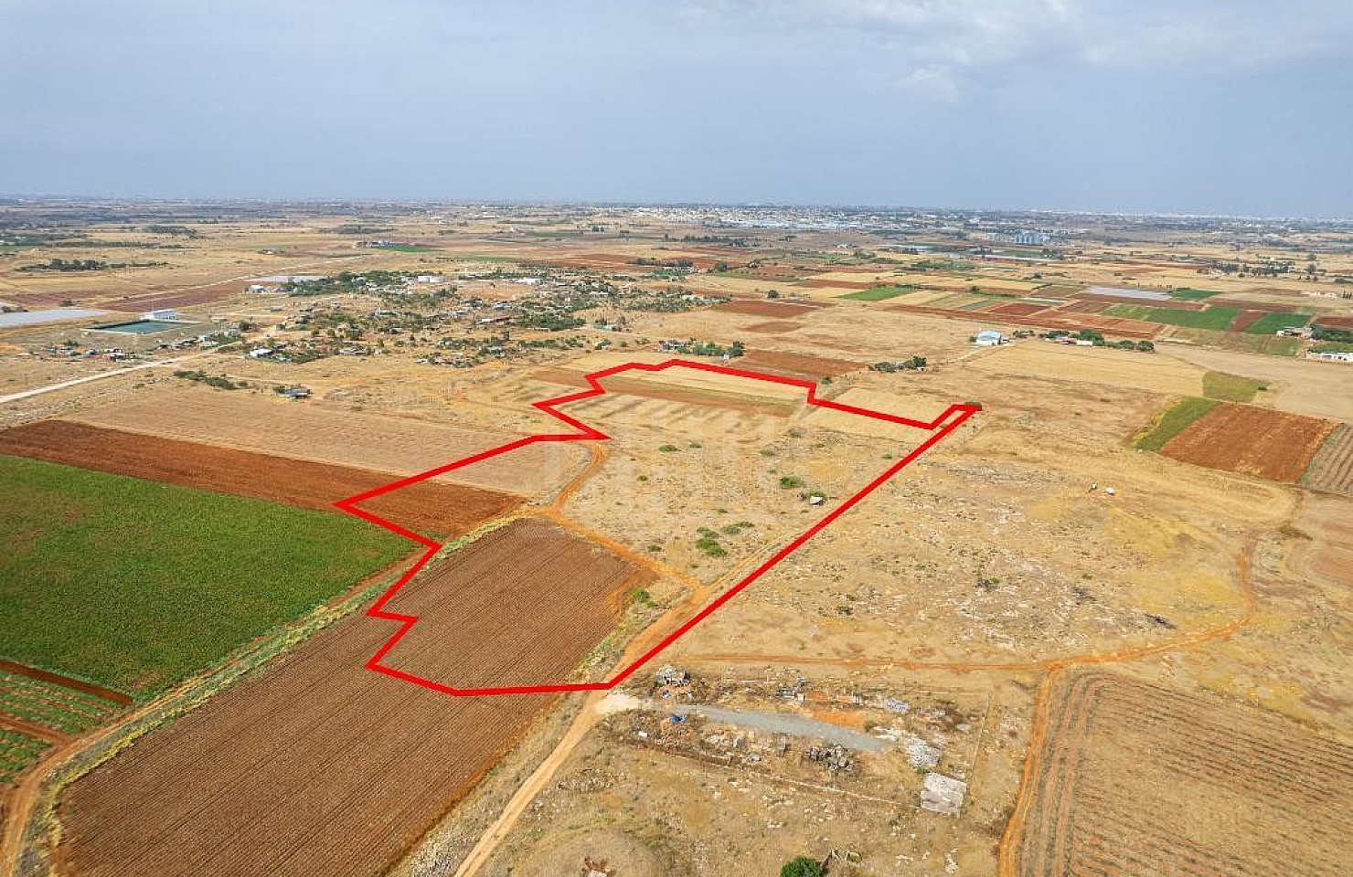 Shared field in Liopetri, Famagusta