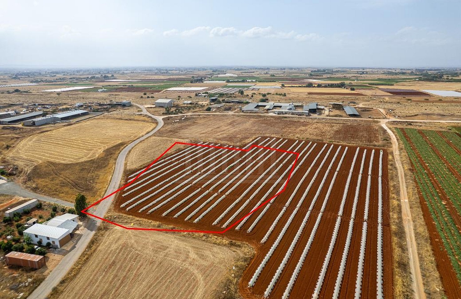 Field in Liopetri, Famagusta