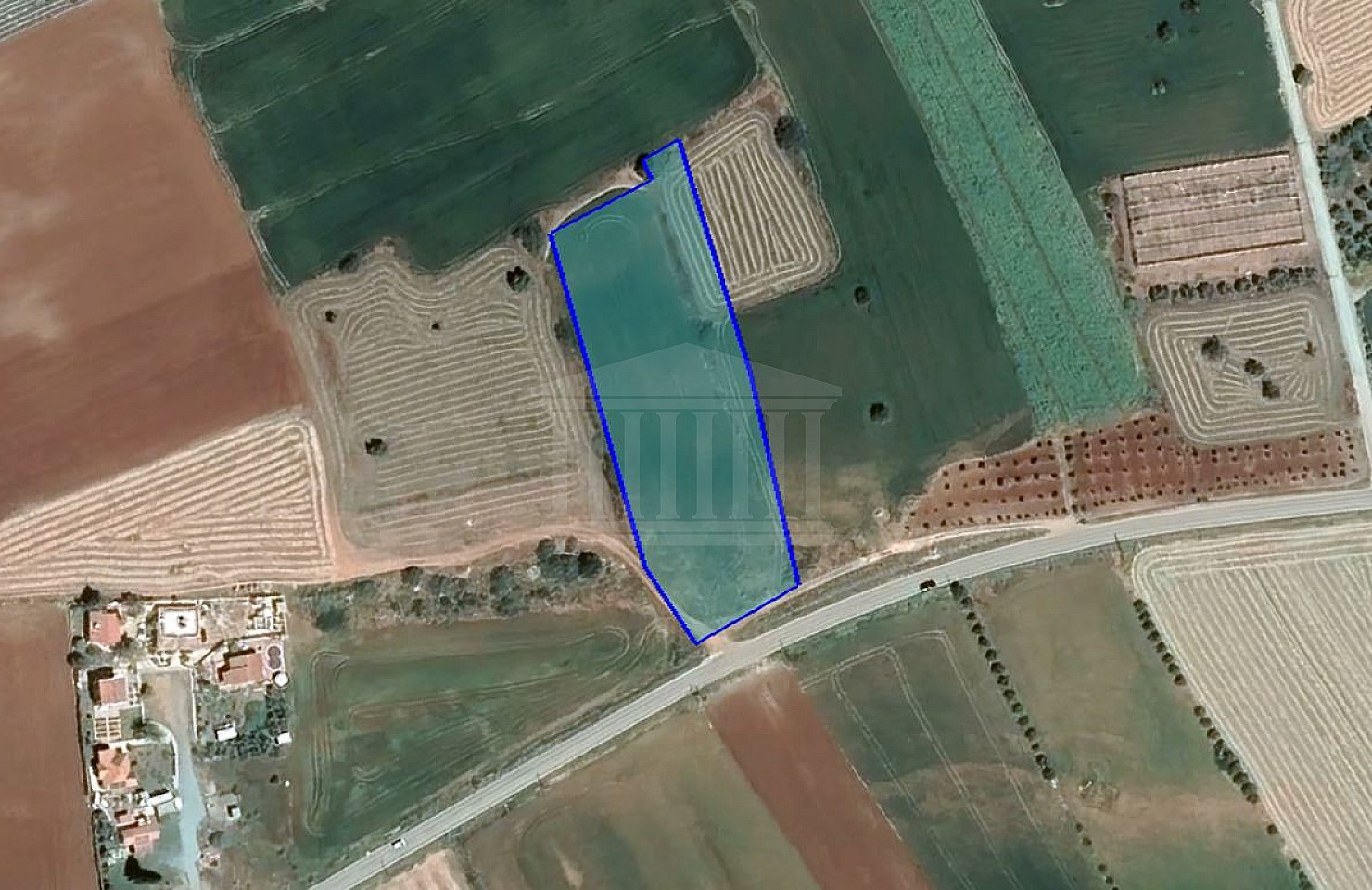 Field in Alaminos, Larnaca