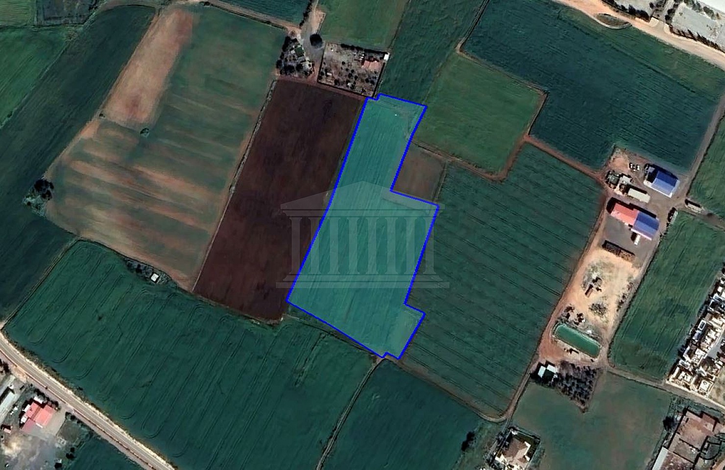 Field in Avgorou, Ammochostos