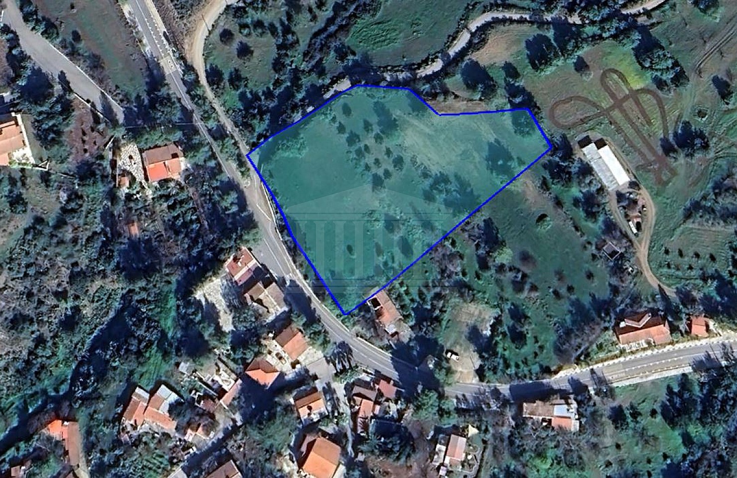 Field in Lageia, Larnaca