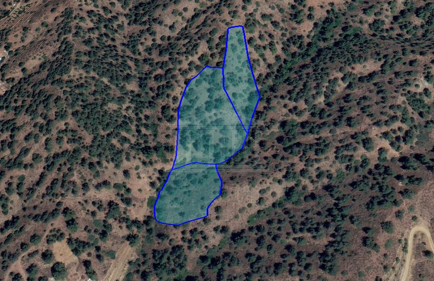 Fields in Kakopetria, Nicosia