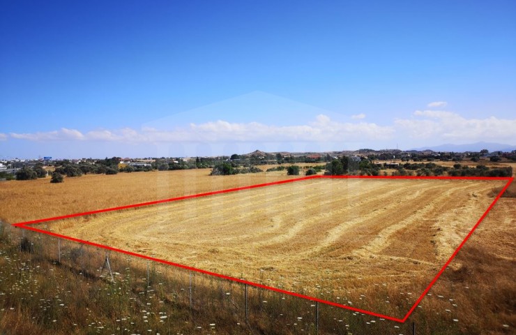 Special Zone field, Latsia, Nicosia