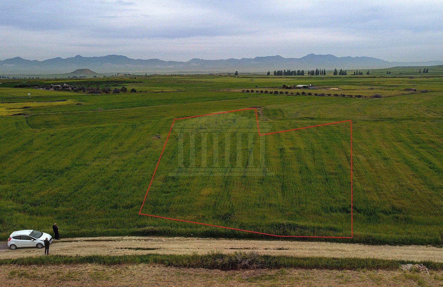 Agricultural Field in Geri, Nicosia