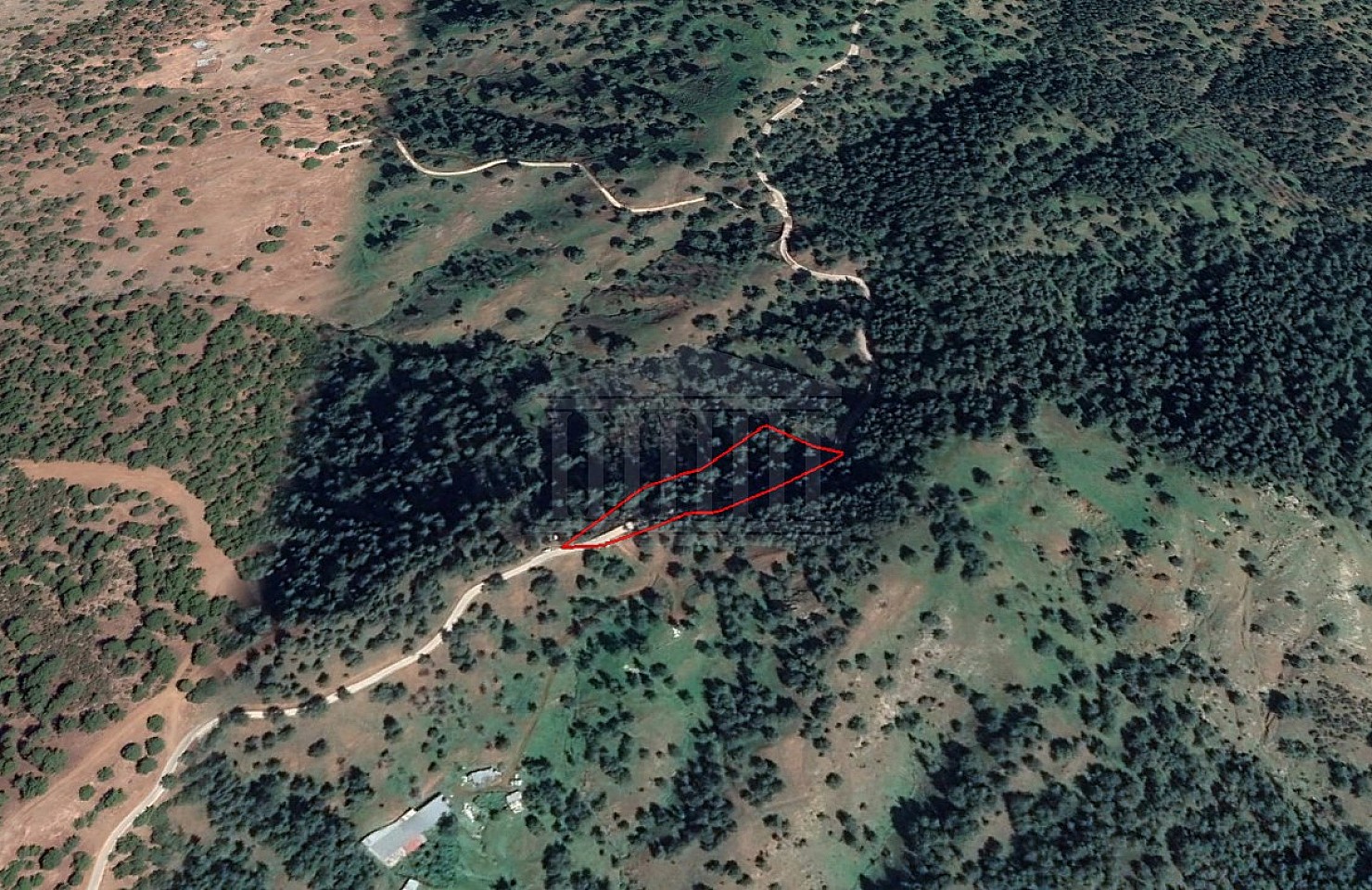 Field in Pigenia, Nicosia